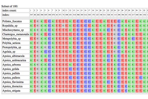 Processing Results